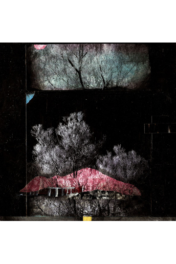 CHRONICLE #24